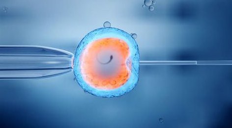 现在赴泰国试管婴儿多少钱？