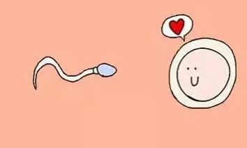 吞武里医院，泰国试管婴儿新选择，Thonburi Bamrungmuang