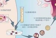 寡妇年领证化解方法汇总，贴五行八卦符效果比想象的还好