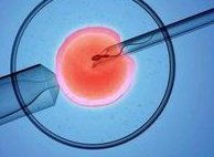 在广德市做试管婴儿长方案周期需要多久？超长方案促排流程是怎么样的？