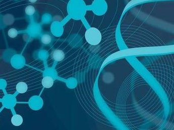 试管婴儿全攻略：促排、取卵、移植，每个阶段都该注意啥？